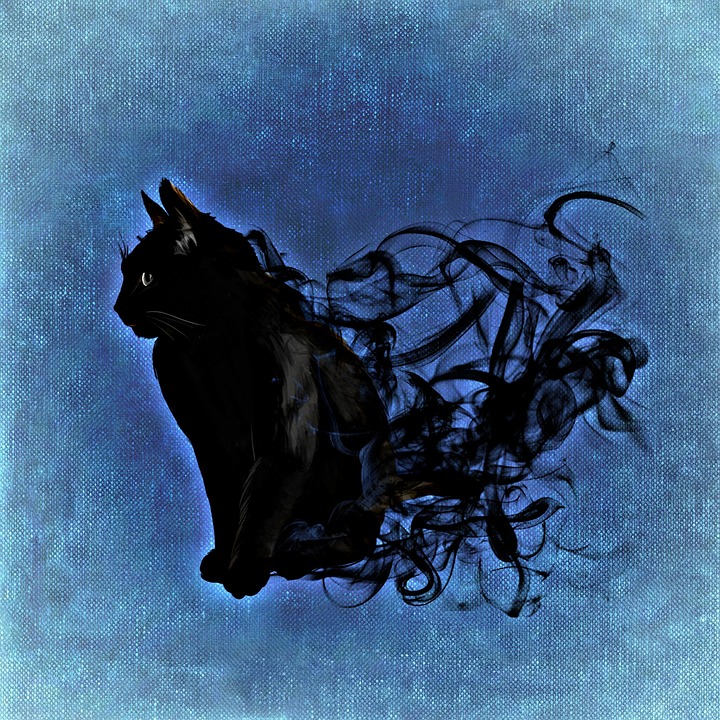 samhain black cat