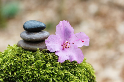 wiccan meditation - flower